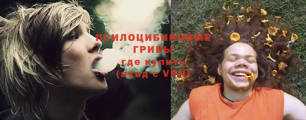 ПСИЛОЦИБИНОВЫЕ ГРИБЫ Семилуки