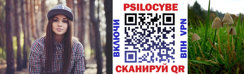 купить наркотик  Певек  Галлюциногенные грибы Cubensis 